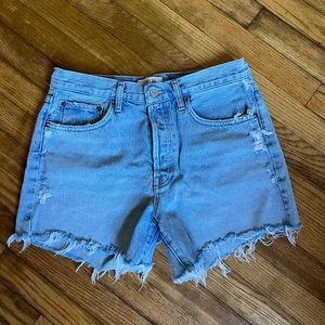 Agolde Parker Long Shorts